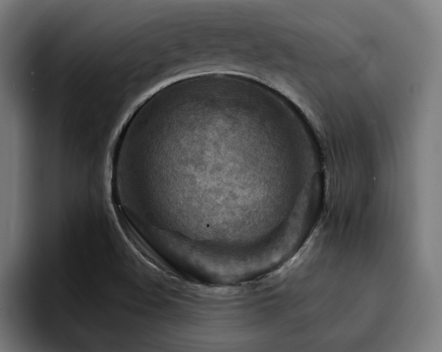 X0000094451508200711081254