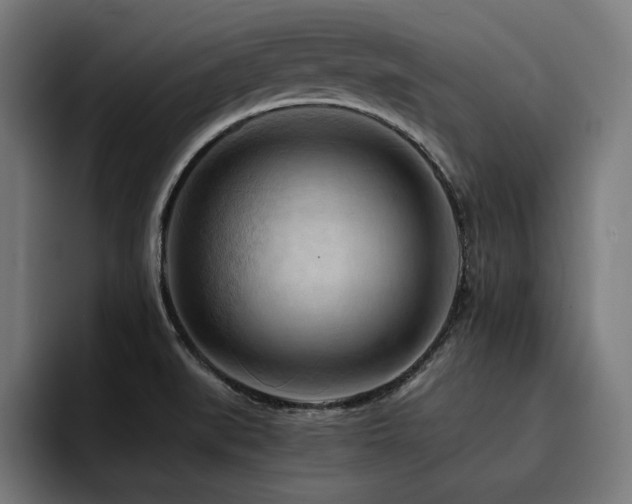 X0000094451519200711081254