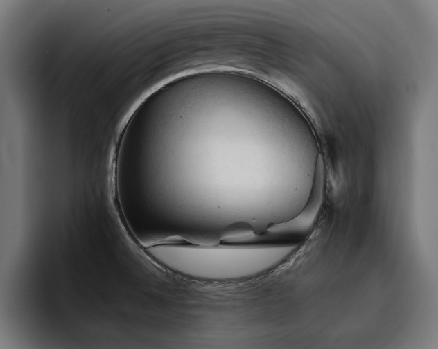 X0000094451524200711081254