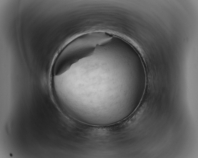 X0000094451525200711081254