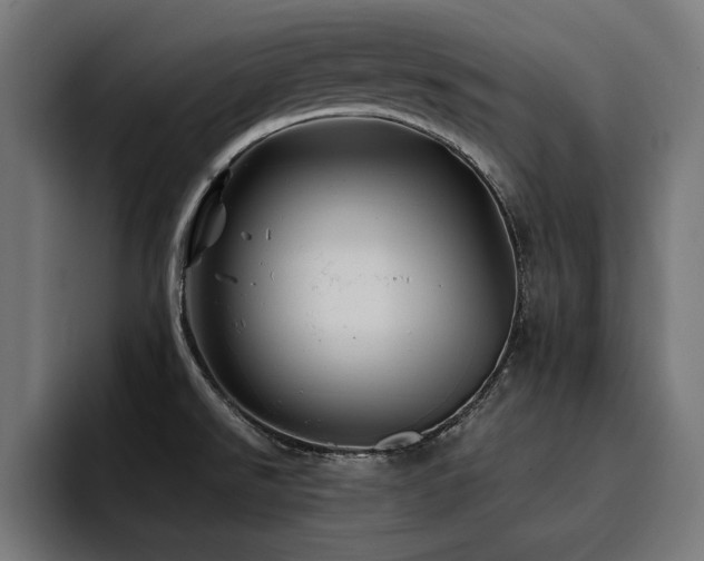 X0000094451526200711081254