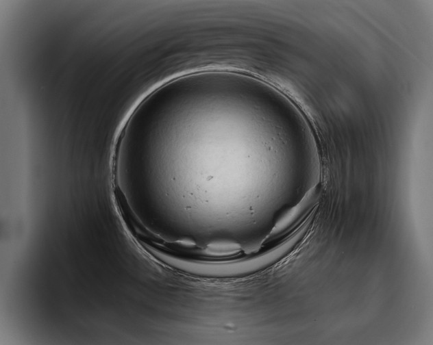 X0000094451532200711081254