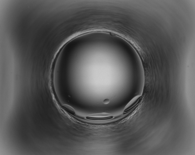 X0000094451534200711081254