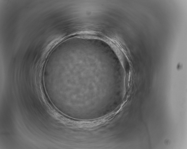 X0000094450001200711151438