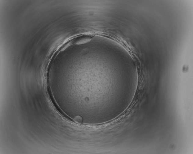 X0000094450002200711151438