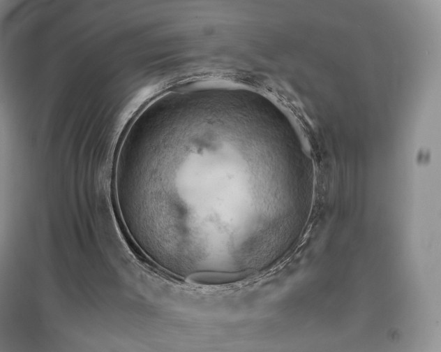 X0000094450003200711151438