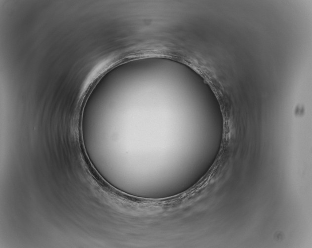 X0000094450004200711151438