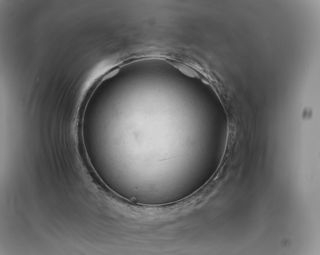 X0000094450006200711151438