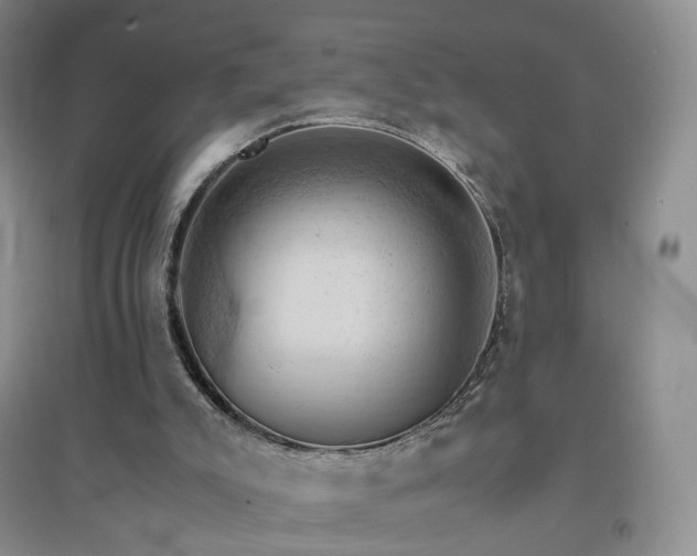 X0000094450007200711151438