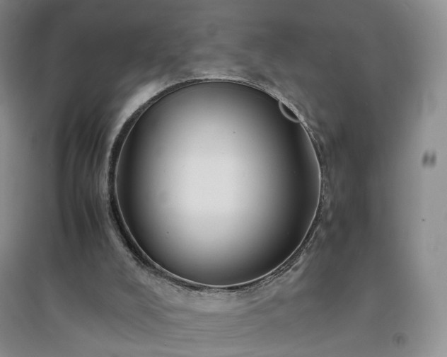 X0000094450008200711151438