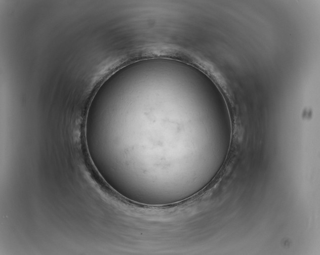 X0000094450010200711151437