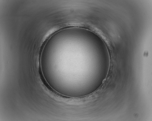 X0000094450011200711151437