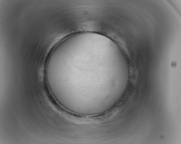 X0000094450012200711151437