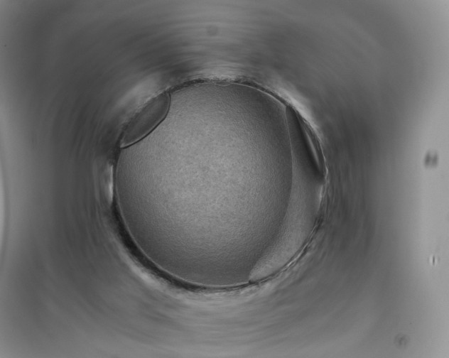 X0000094450013200711151437