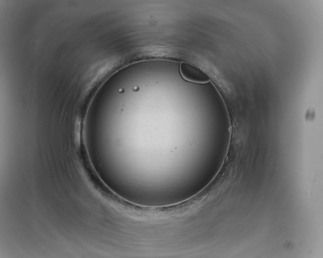 X0000094450014200711151437