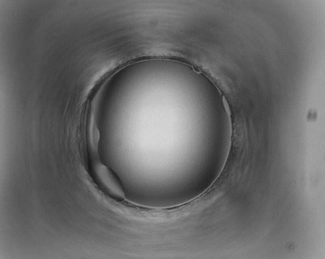 X0000094450015200711151437