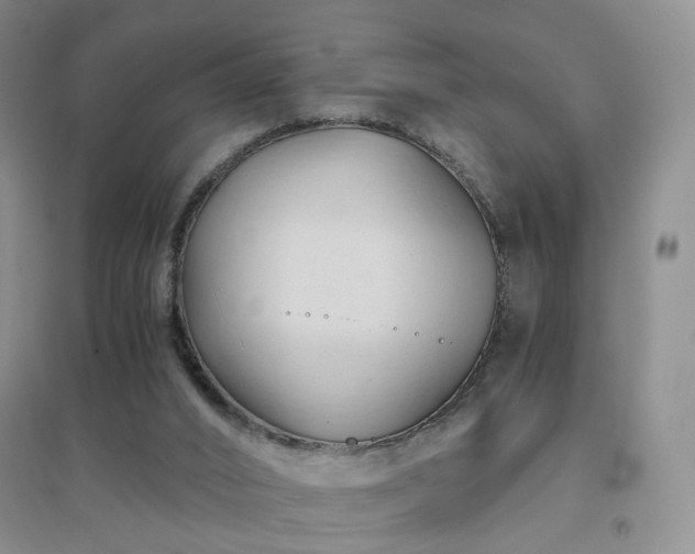 X0000094450016200711151437