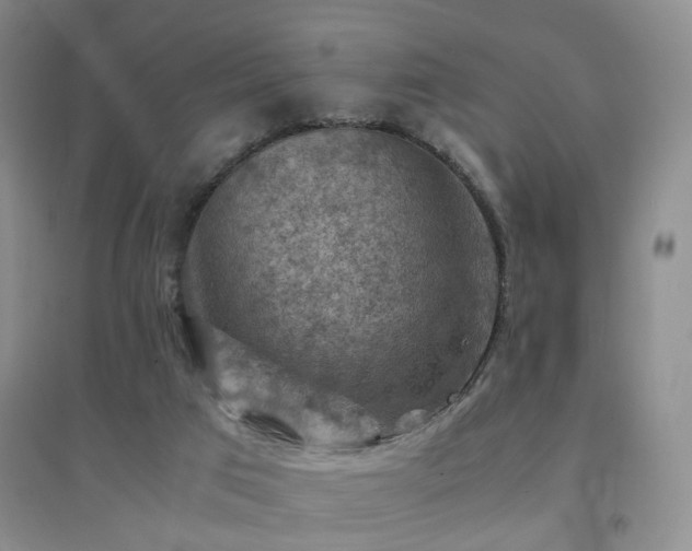 X0000094450017200711151437