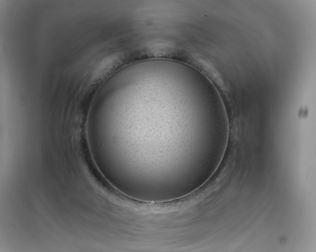 X0000094450018200711151437