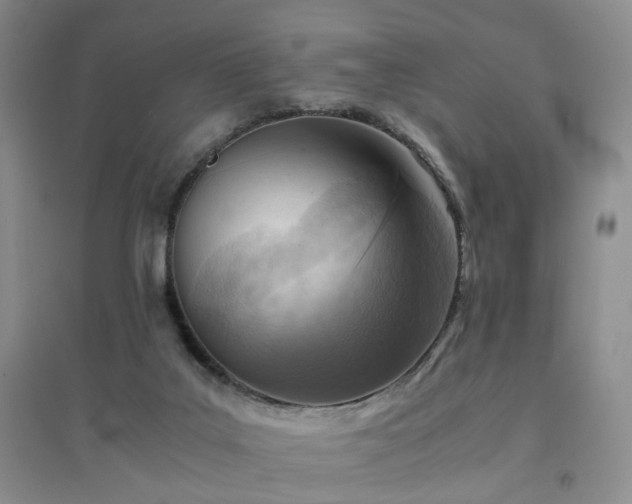 X0000094450019200711151437