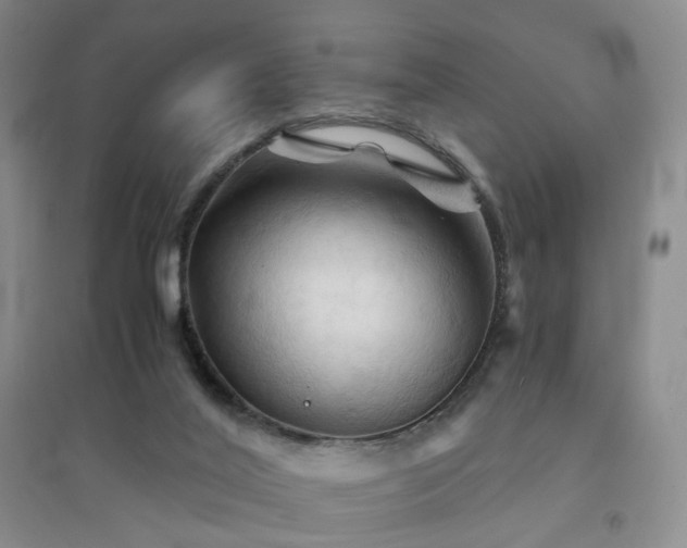 X0000094450020200711151437