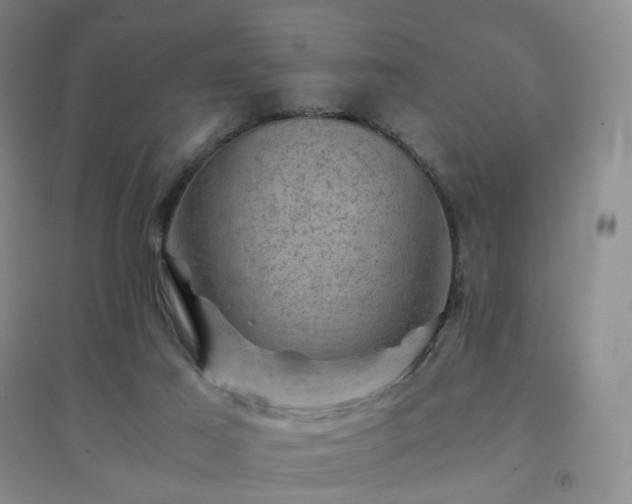 X0000094450021200711151437