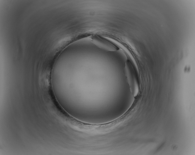 X0000094450023200711151437