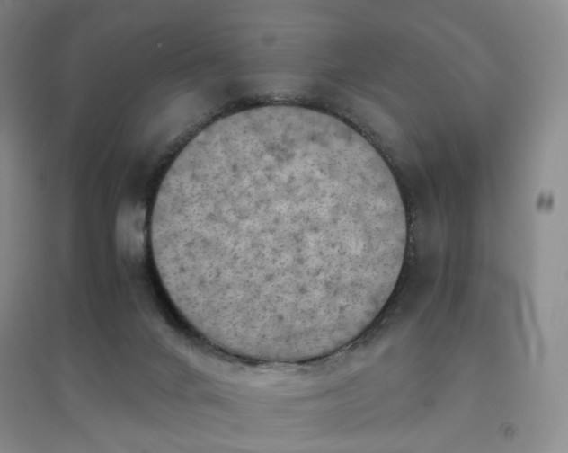 X0000094450024200711151437