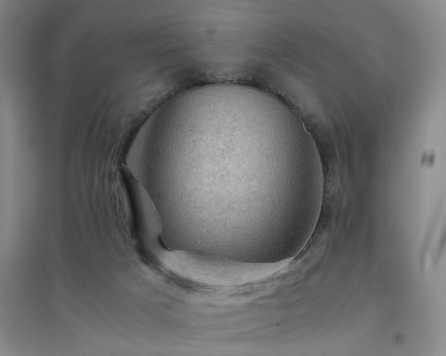 X0000094450025200711151437