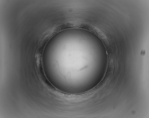 X0000094450026200711151437