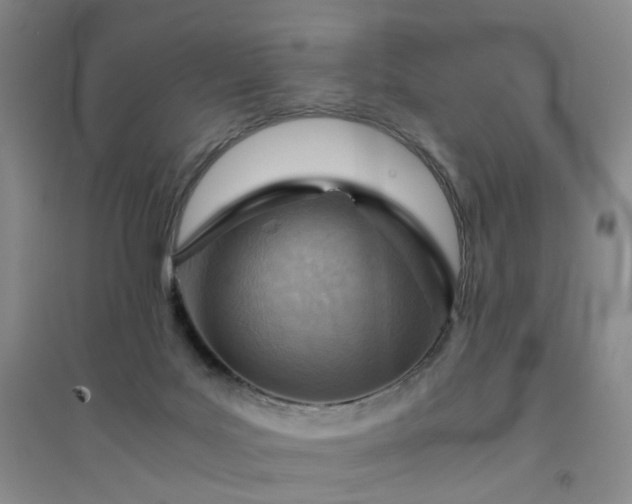 X0000094450027200711151437
