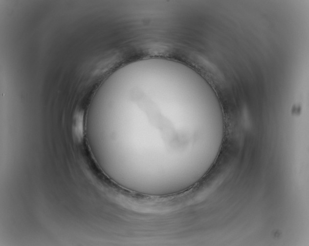 X0000094450028200711151437