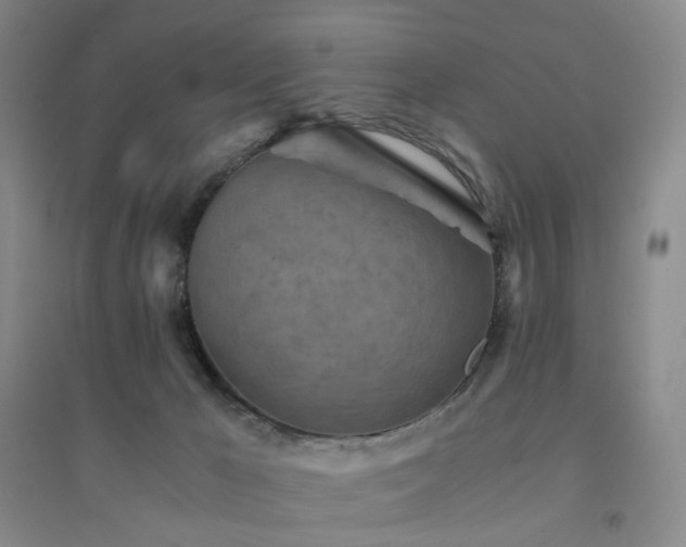 X0000094450029200711151437