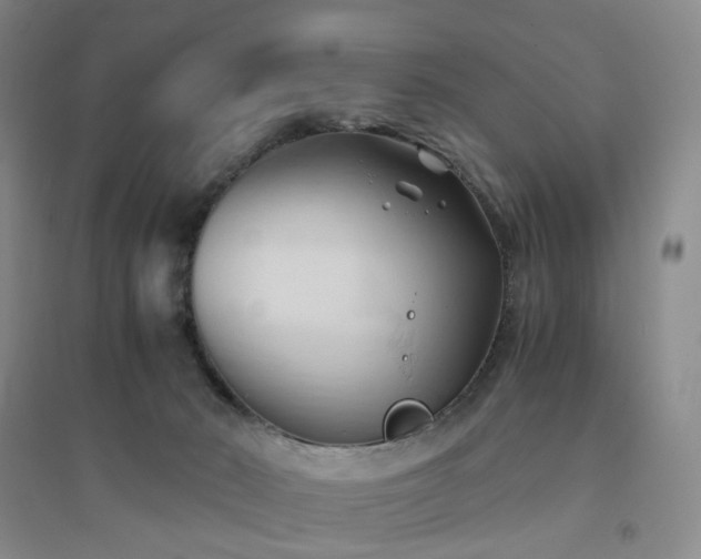 X0000094450030200711151437