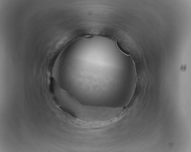X0000094450031200711151437