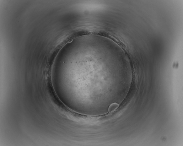 X0000094450032200711151437