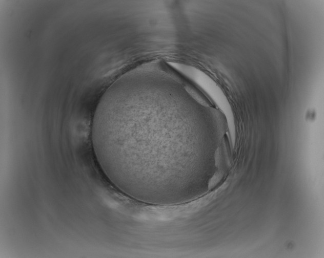 X0000094450033200711151437