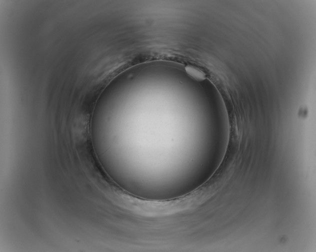 X0000094450034200711151437