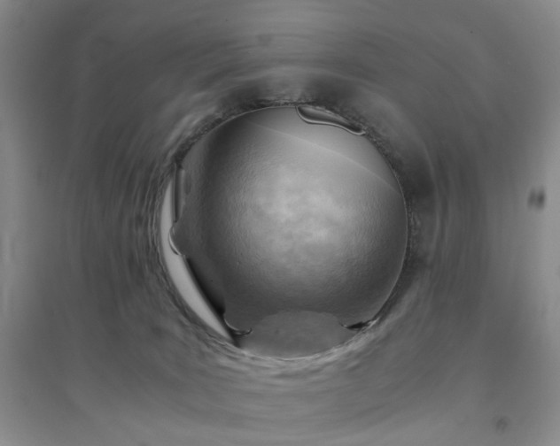 X0000094450035200711151437