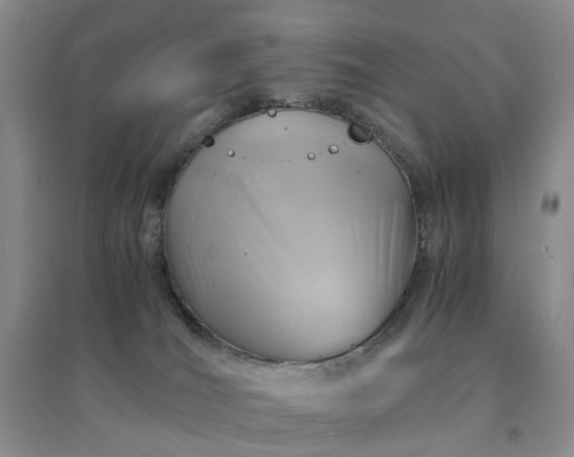 X0000094450036200711151437