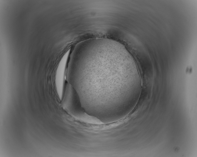 X0000094450037200711151437