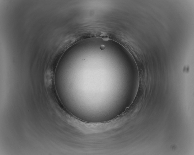 X0000094450038200711151437