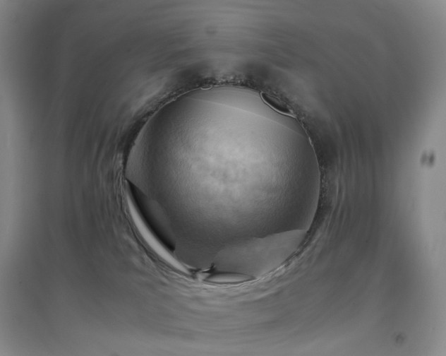 X0000094450039200711151437