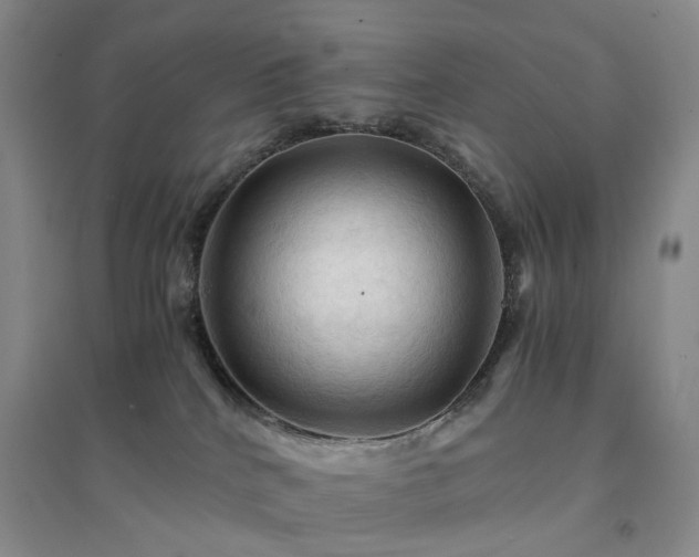 X0000094450040200711151437