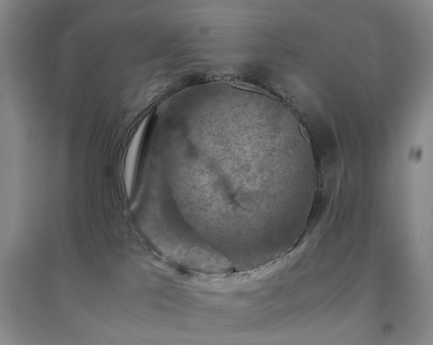 X0000094450041200711151437