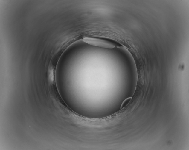 X0000094450042200711151437