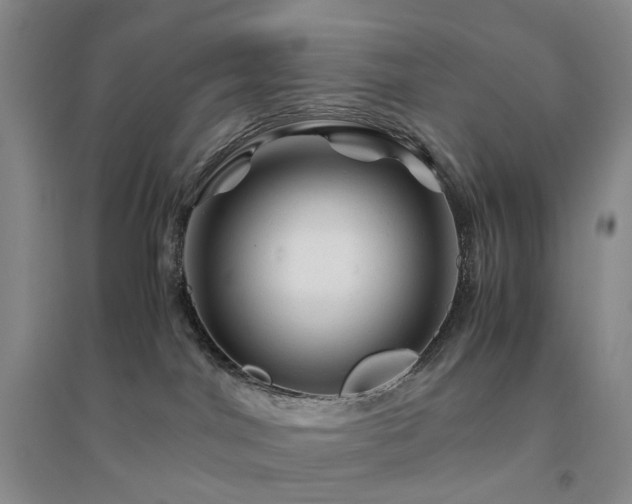 X0000094450044200711151437