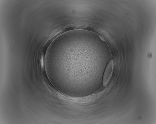 X0000094450046200711151437