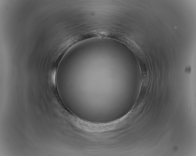 X0000094450047200711151437