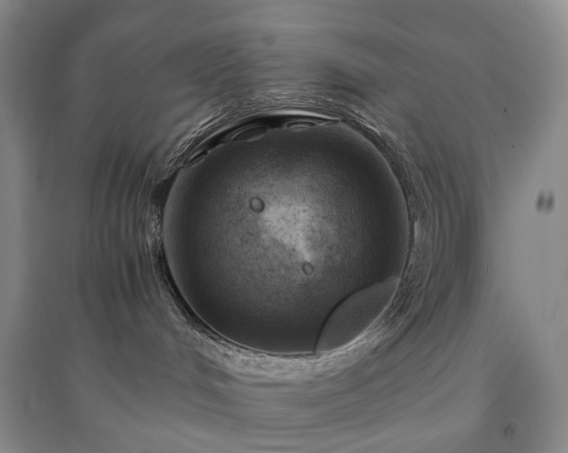 X0000094450048200711151437